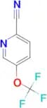 5-(trifluoromethoxy)pyridine-2-carbonitrile
