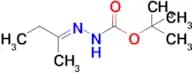 TERT-BUTYL 2-(BUTAN-2-YLIDENE)HYDRAZINECARBOXYLATE
