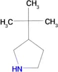 3-tert-Butylpyrrolidine