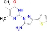 2-[5-amino-3-(2-thienyl)-1H-pyrazol-1-yl]-5-ethyl-6-methylpyrimidin-4(3H)-one