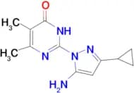 2-(5-amino-3-cyclopropyl-1H-pyrazol-1-yl)-5,6-dimethylpyrimidin-4(3H)-one