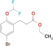 Ethyl 3-[5-bromo-2-(difluoromethoxy)phenyl]propanoate