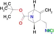 Tert-butyl rac-(1S,2R,4R)-2-(aminomethyl)-3-methylene-7-azabicyclo[2.2.1]heptane-7-carboxylate hyd…