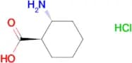 (1R,2R)-2-Aminocyclohexanecarboxylic acid hydrochloride