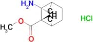 METHYL TRANS-3-AMINOBICYCLO[2.2.2]OCTANE-2-CARBOXYLATE HCL