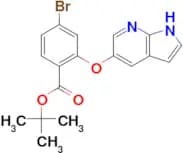 Tert-butyl 4-bromo-2-{1H-pyrrolo[2,3-b]pyridin-5-yloxy}benzoate