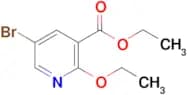 Ethyl 5-bromo-2-ethoxynicotinate