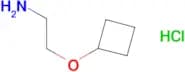 (2-aminoethoxy)cyclobutane hydrochloride