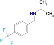 (propan-2-yl)({[4-(trifluoromethyl)phenyl]methyl})amine