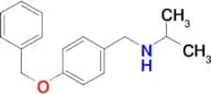 {[4-(benzyloxy)phenyl]methyl}(propan-2-yl)amine