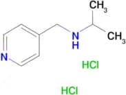 (propan-2-yl)[(pyridin-4-yl)methyl]amine dihydrochloride