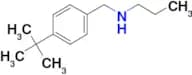 [(4-tert-butylphenyl)methyl](propyl)amine