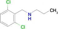 [(2,6-dichlorophenyl)methyl](propyl)amine