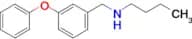 Butyl[(3-phenoxyphenyl)methyl]amine
