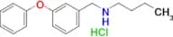 Butyl[(3-phenoxyphenyl)methyl]amine hydrochloride