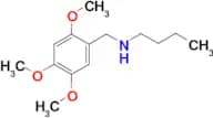 Butyl[(2,4,5-trimethoxyphenyl)methyl]amine