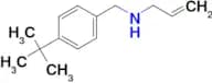 [(4-tert-butylphenyl)methyl](prop-2-en-1-yl)amine