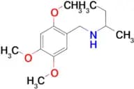 (butan-2-yl)[(2,4,5-trimethoxyphenyl)methyl]amine