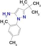 3-tert-butyl-1-(2,4-dimethylphenyl)-1H-pyrazol-5-amine