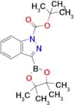1-TERT-BUTYRONYCARBONYL-3-BORIC INDAZOLE PINACOL ESTER
