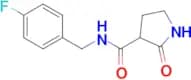 N-(4-FLUOROBENZYL)-2-OXOPYRROLIDINE-3-CARBOXAMIDE