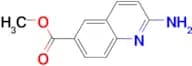 METHYL 2-AMINOQUINOLINE-6-CARBOXYLATE