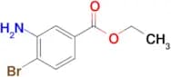 ETHYL 3-AMINO-4-BROMOBENZOATE