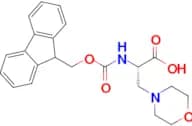Fmoc-3-(1-Morpholinyl)-L-Ala-OH
