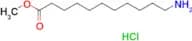 11-Aminoundecanoic acid methyl ester hydrochloride