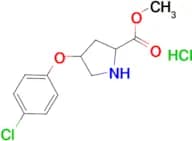 Methyl 4-(4-chlorophenoxy)pyrrolidine-2-carboxylate hydrochloride