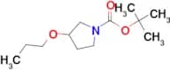 Tert-Butyl 3-propoxypyrrolidine-1-carboxylate
