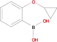 (2-Cyclopropoxyphenyl)boronic acid