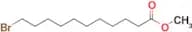 Methyl 11-bromoundecanoate