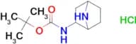 Tert-Butyl 7-azabicyclo[2.2.1]heptan-2-ylcarbamate hydrochloride
