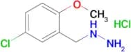 (5-Chloro-2-methoxybenzyl)hydrazine hydrochloride