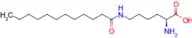 Lauroyl lysine