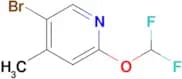 5-Bromo-2-(difluoromethoxy)-4-methylpyridine