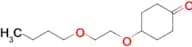 4-(2-Butoxyethoxy)cyclohexan-1-one