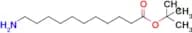 Tert-Butyl 11-aminoundecanoate