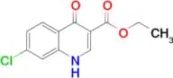 Ethyl 7-chloro-4-oxo-1,4-dihydroquinoline-3-carboxylate