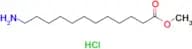 Methyl 12-aminododecanoate hydrochloride