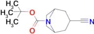 Tert-Butyl 3-cyano-8-azabicyclo[3.2.1]octane-8-carboxylate