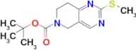Tert-Butyl 2-(methylthio)-7,8-dihydropyrido[4,3-d]pyrimidine-6(5H)-carboxylate
