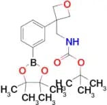 Tert-Butyl ((3-(3-(4,4,5,5-tetramethyl-1,3,2-dioxaborolan-2-yl)phenyl)oxetan-3-yl)methyl)carbamate