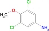 3,5-Dichloro-4-methoxyaniline
