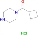 1-(Cyclobutylcarbonyl)piperazine hydrochloride