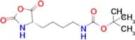 Tert-Butyl (S)-(4-(2,5-dioxooxazolidin-4-yl)butyl)carbamate