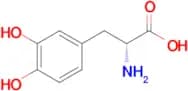 3,4-Dihydroxy-D-phenylalanine