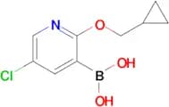 5-Chloro-2-(cyclopropylmethoxy)pyridine-3-boronic acid