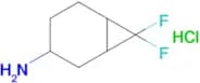 7,7-Difluorobicyclo[4.1.0]heptan-3-amine hydrochloride